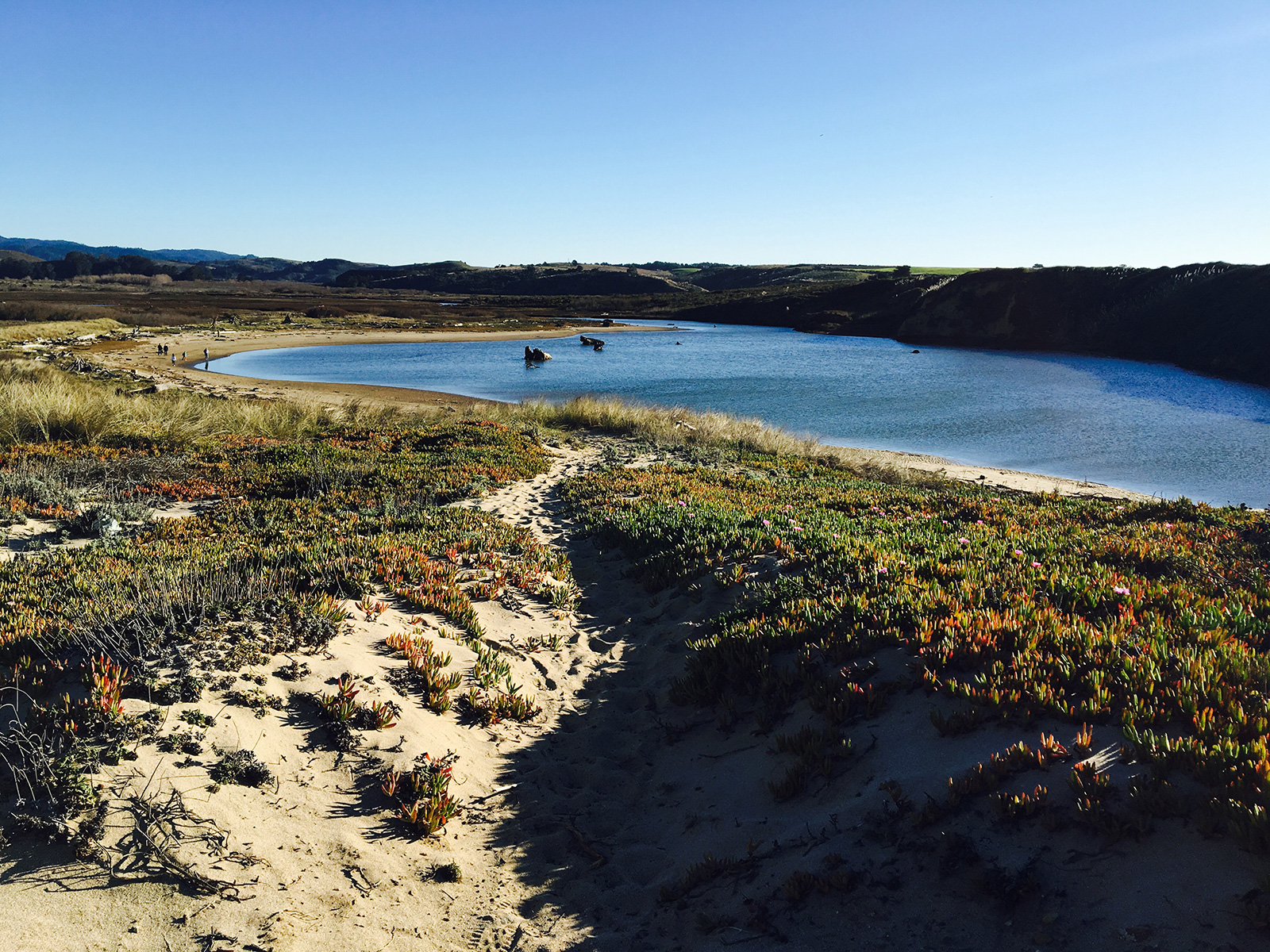 Image number 4 for slideshow of Butano Canyon